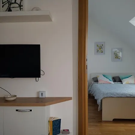 11 Breza 즐라티보